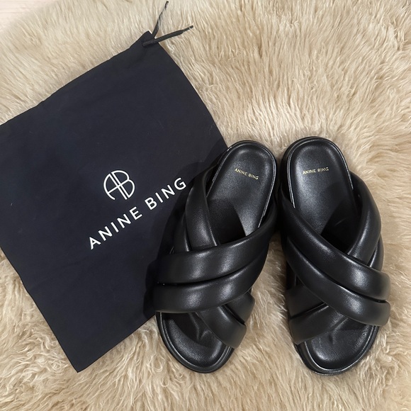 Authentic Anine Bing Lizzie Slides - Size 41 - Box + Dust Bag,All Products : American Fashion Style Bags On Sale